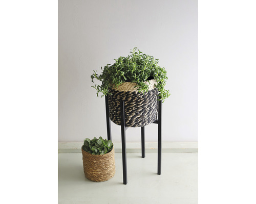 Twee plantenmanden, waarvan één op een plantenstandaard