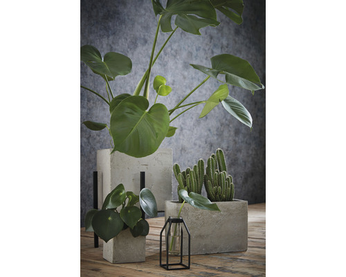 Arrangement van kamerplanten in betonnen potten en een glazen vaas met metalen frame