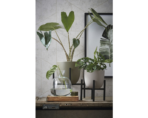 Decoratieve kamerplanten in bloempotten op een tafel