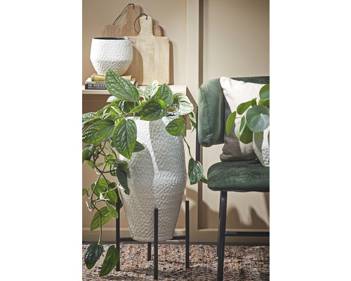 Decoratieve kamerplant in witte bloempot op een standaard naast een groene stoel.