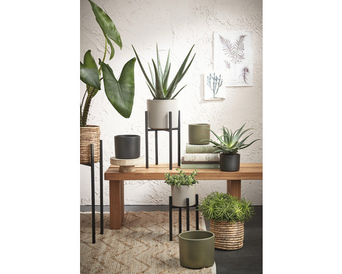 Decoratieve plantenscène met tafels, plantenstandaards en kamerplanten