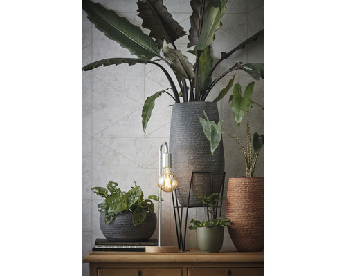 Decoratieve opstelling met kamerplanten in plantenbakken op een houten commode.