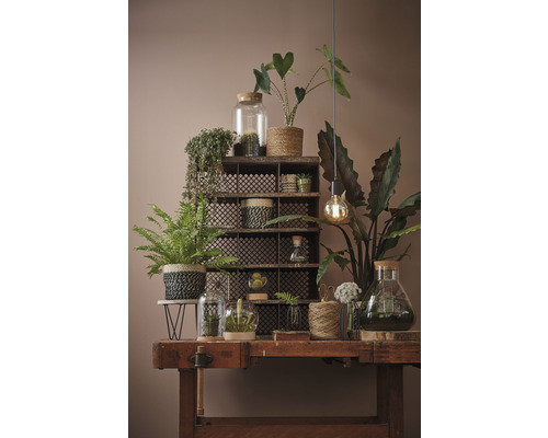 Decoratieve opstelling met planten en vintage meubels op een werkbank