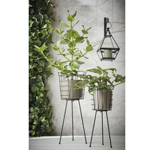 Twee kamerplanten in manden op plantenstandaards, naast een wandlamp met kaars.