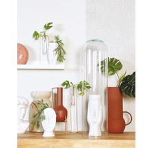 Decoratieve opstelling met vazen, glazen stolp en planten op een plank.