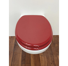 Toiletbril met deksel