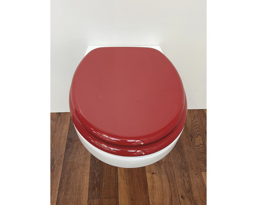 Toiletbril met deksel