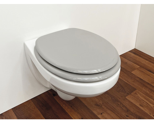 Wandhangend toilet met toiletzitting