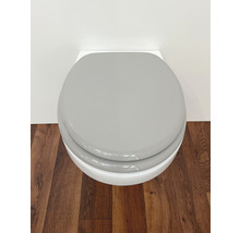 Wandcloset met grijze wc-bril op houten vloer