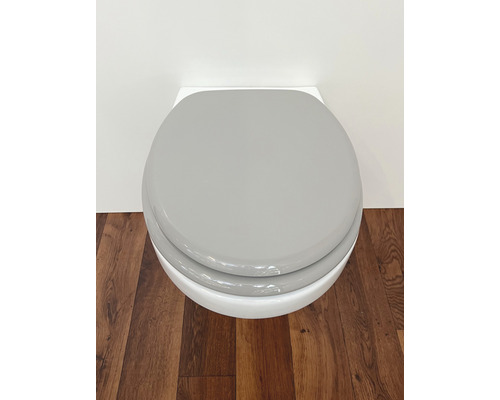 Wandcloset met grijze wc-bril op houten vloer