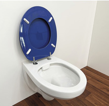 Wandcloset met diepspoeling en blauwe toiletbril