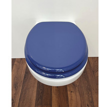 Gesloten toiletpot met deksel