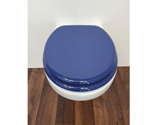 Gesloten toiletpot met deksel