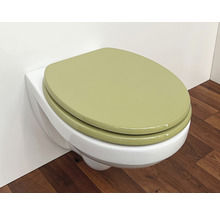 Wandcloset met toiletzitting