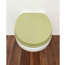 Toilet met gesloten deksel