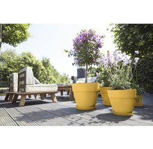 Terrasoverzicht met gele bloempotten en tuinmeubelen