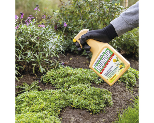 Roundup onkruidverdelger aanbrengen in de tuin