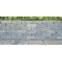 Muur van grijze stenen met beplanting