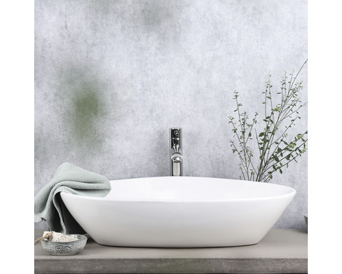 Opzetwastafel in badkamer met kraan en decoratie