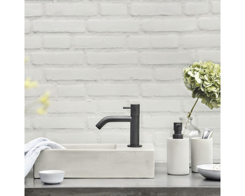 Moderne badkamer met wastafel, kraan en decoratieve artikelen.