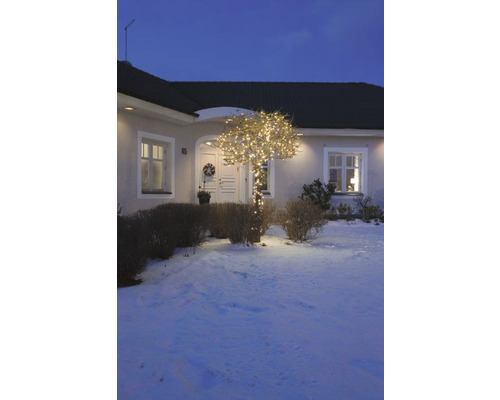 Een huis met een boom versierd met een lichtsnoer in de sneeuw.