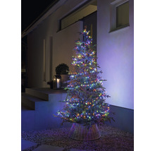 Verlichte kerstboom buiten met gekleurde lichtjes in een mand.