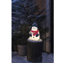 Verlichte sneeuwpop met muts en sjaal op een boomstronk, omringd door een besneeuwde kerstboom.