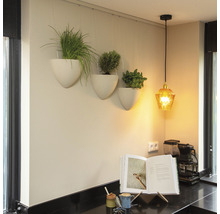 Keukenscène met hangende plantenbakken en hanglamp