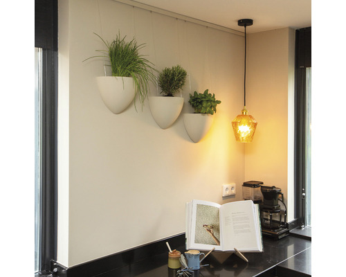 Keukenscène met hangende plantenbakken en hanglamp