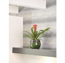 Bromelia in pot op een plank voor een behang met slangenprint