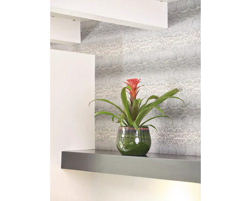 Bromelia in pot op een plank voor een behang met slangenprint