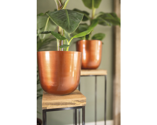 Twee bananenplanten in potten op plantenstandaards
