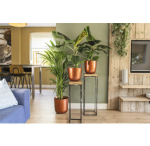 Woonkamer met planten in plantenbakken op plantenstandaards