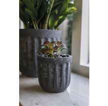 TS Bloempot Duncan Cement grijs Ø 8 cm H 7 cm