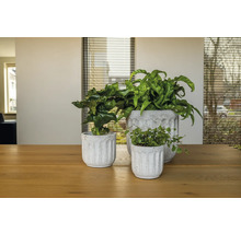 TS Bloempot Duncan Cement grijs Ø 8 cm H 7 cm