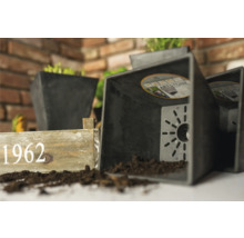 Vierkante plantenpot van kunststof met potgrond