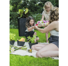 Tuinscene met spelende kinderen, picknickkleed, planten in potten en plantenbak