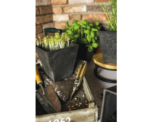 Arrangement met kweekpotten, kruiden, plantschep en tuinschaar in houten kist voor een bakstenen muur