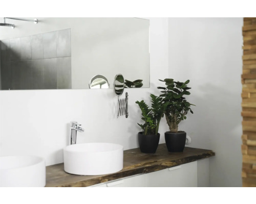 Badkamer met twee wastafels, spiegel en planten op een houten blad