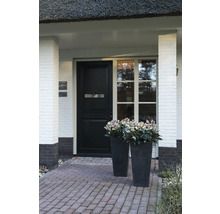 Entree van een huis met voordeur en twee plantenbakken