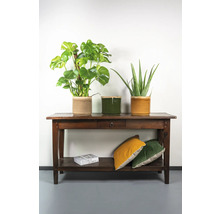 Decoratieve planten in plantenbakken op een houten tafel met lade