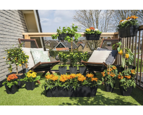 Decoratief balkon met tuinmeubelen, diverse planten en plantenbakken