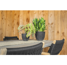 Eettafel met stoelen en twee potplanten voor een houten wand