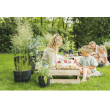 Tuinfeest met planten in bloempotten en een familie