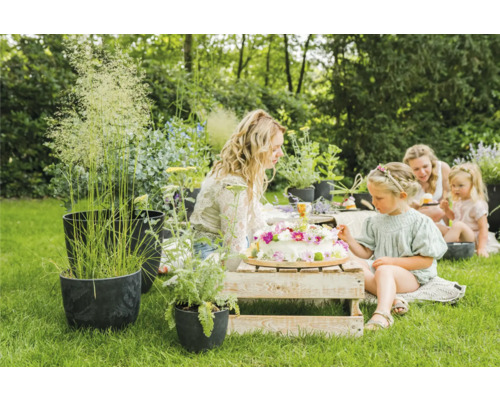 Tuinfeest met planten in bloempotten en een familie