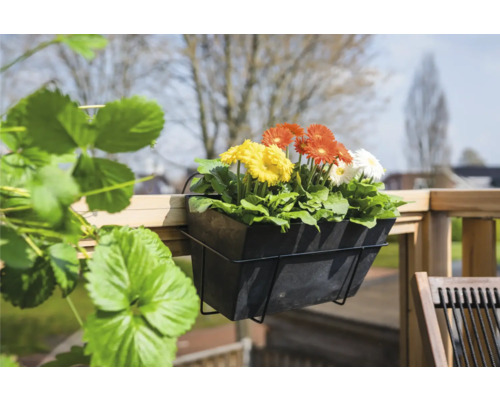 Bloembak met kleurrijke gerbera''s op een houten balkon