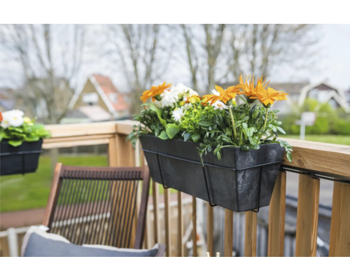 Bloembak met kleurrijke bloemen op een houten balkon