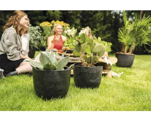 Tuinscène met plantenbakken, vetplanten en mensen