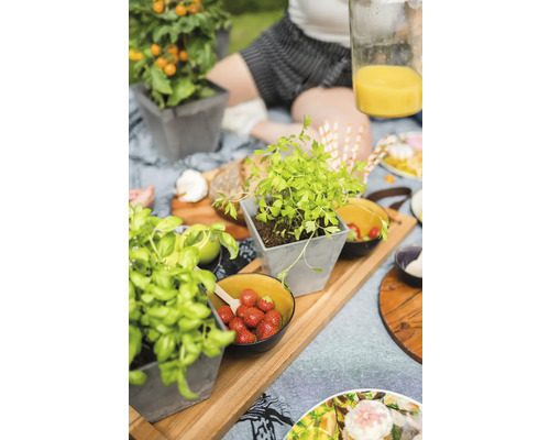 Scène van een picknick met kruiden en eten in de buitenlucht