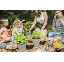 Groep mensen met kruiden en eten tijdens een picknick in de buitenlucht.